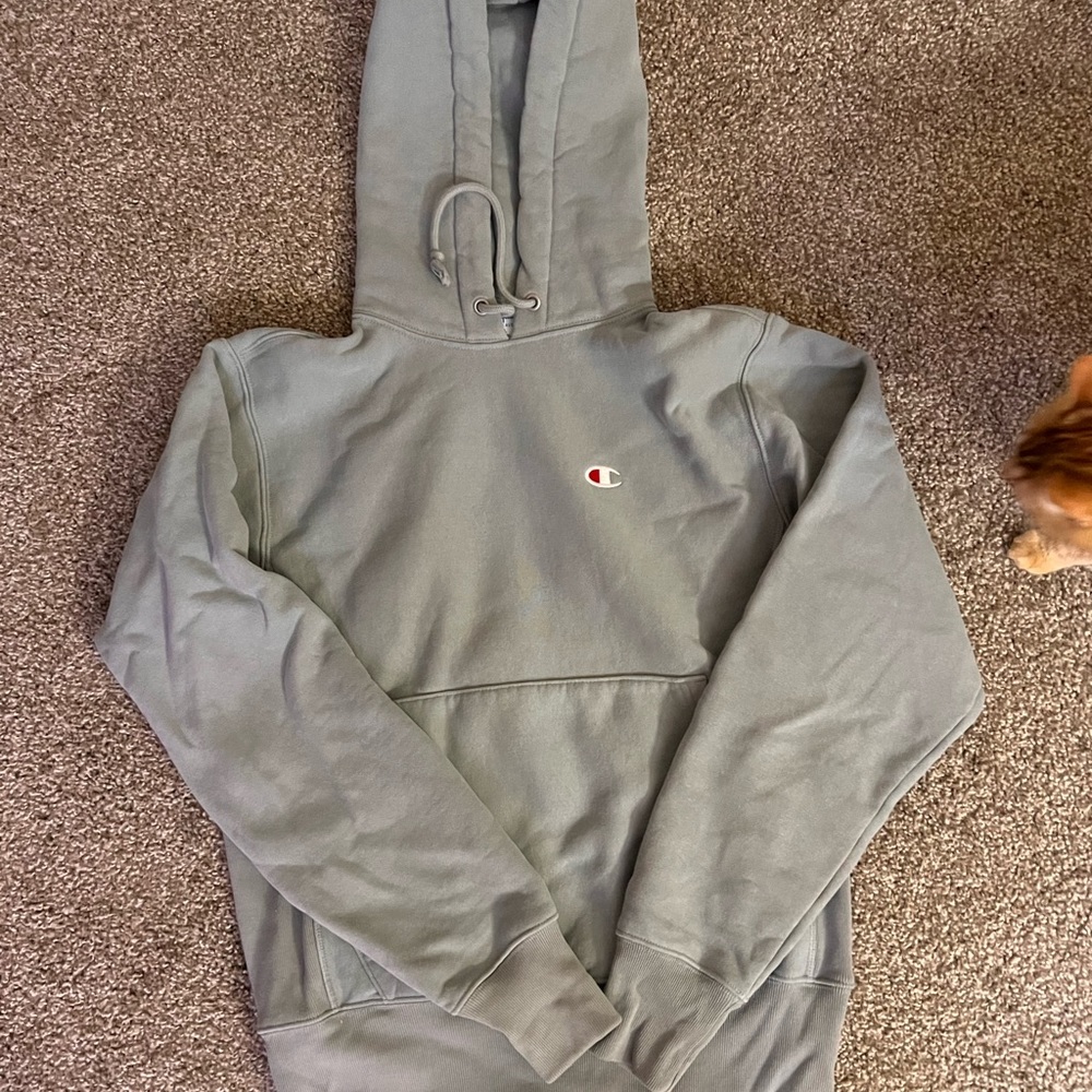 Champion weave hoodie